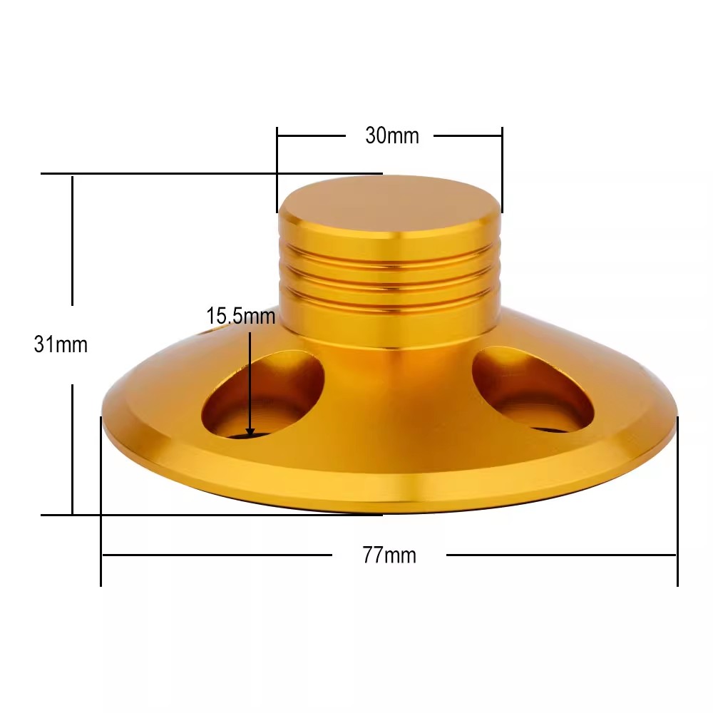 Disc Stabilizer LP Record Weig - Musical Instrument Vector recensione e prezzo