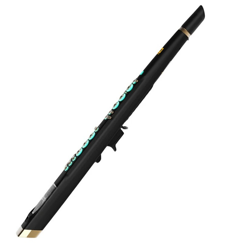C20 true sampling domestic hig - Musical Instrument You Blow Into recensione e prezzo