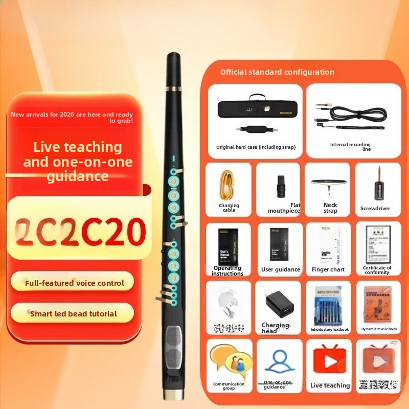 C20 true sampling domestic hig - Musical Instrument You Blow Into recensione e prezzo