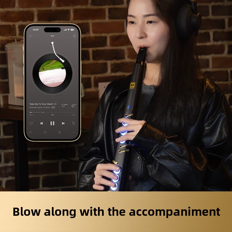 C20 true sampling domestic hig - Musical Instrument You Blow Into recensione e prezzo