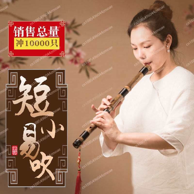 Professional play hole flute o - Musical Instrument You Blow Into recensione e prezzo