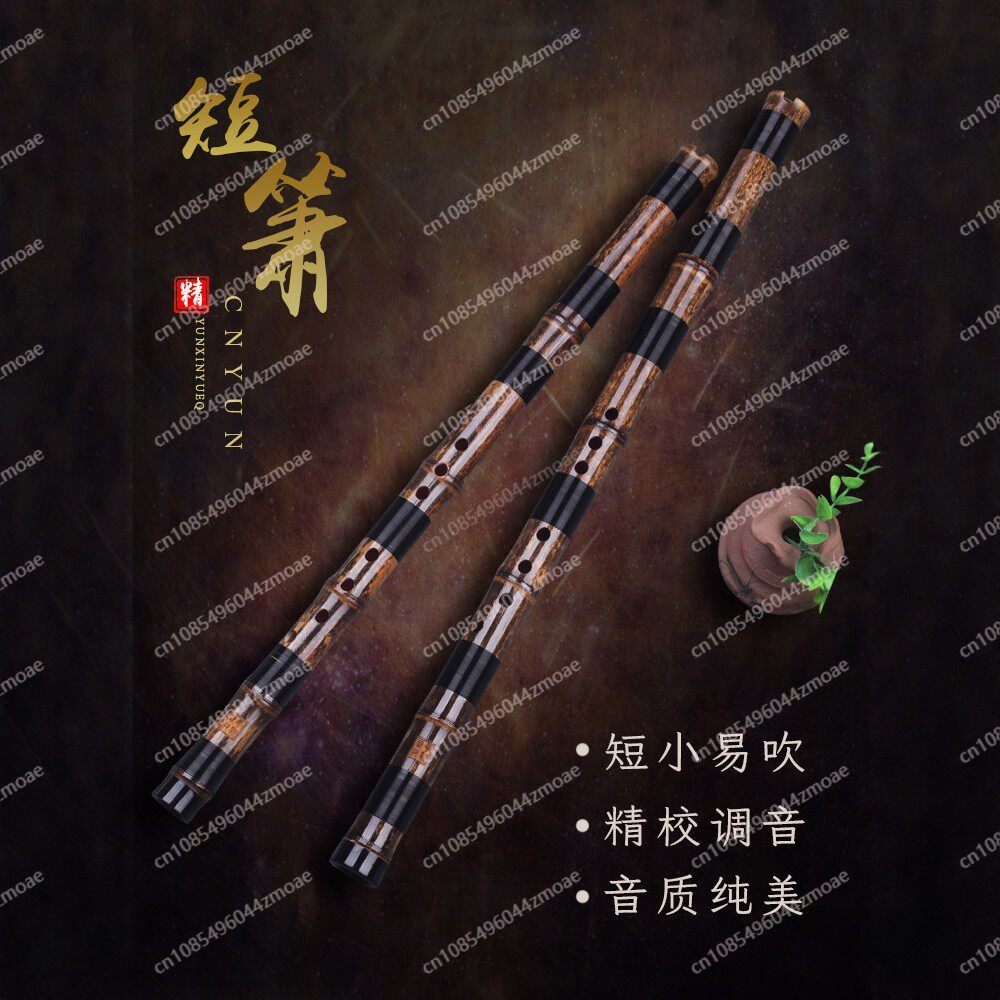 Professional play hole flute o - Musical Instrument You Blow Into recensione e prezzo