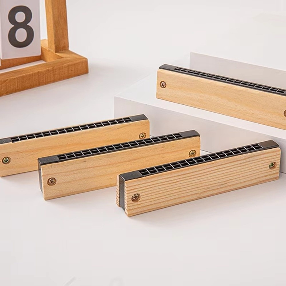 Creative DIY Little Harmonica  - Musical Instrument Melodica recensione e prezzo
