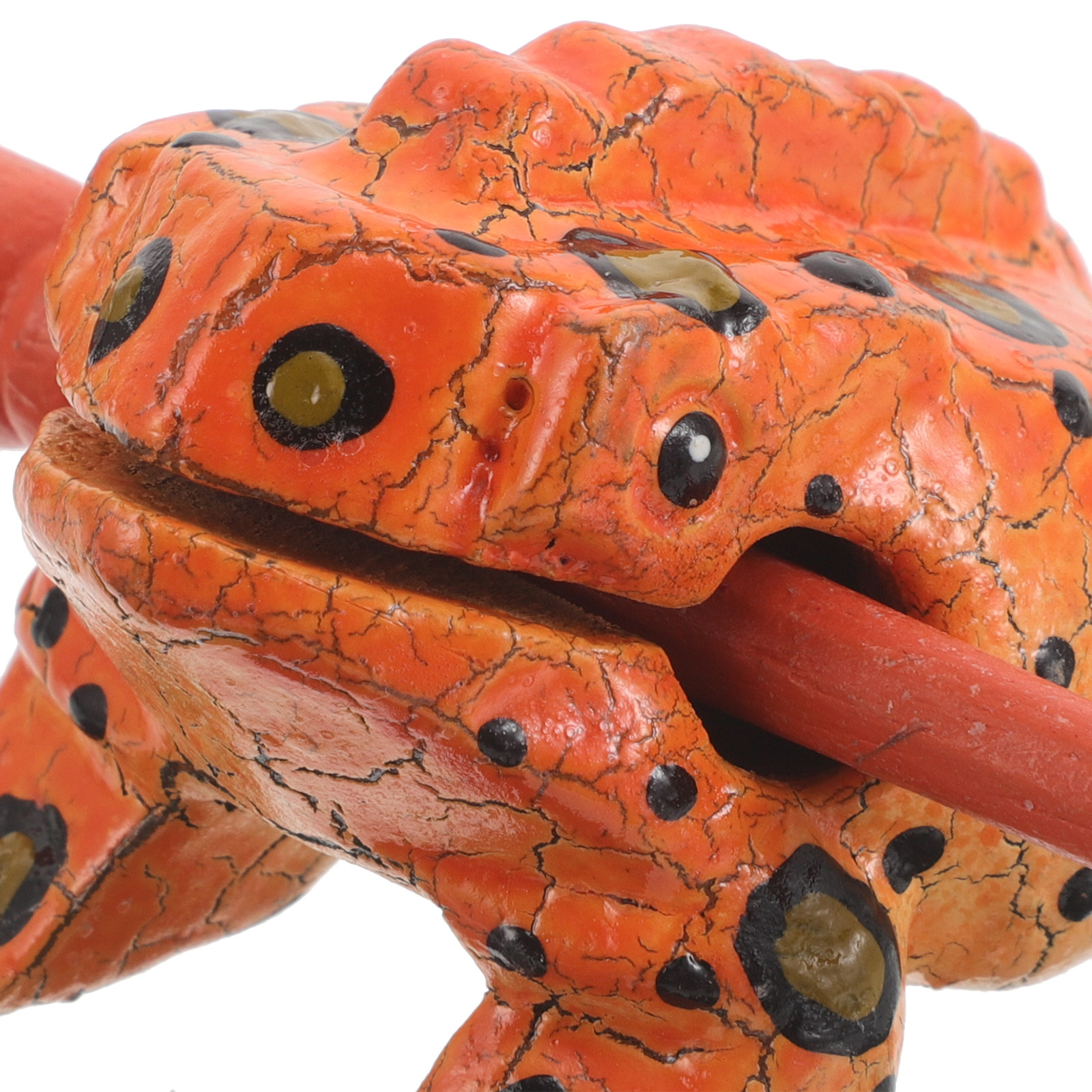 1Set Animal Shaped Frog Guiro  - Guiro Scraper Instrument recensione e prezzo