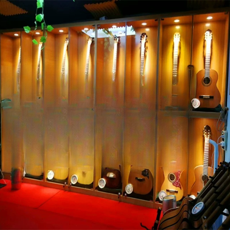 Music Store Musical Instrument - Musical Instrument Glass recensione e prezzo