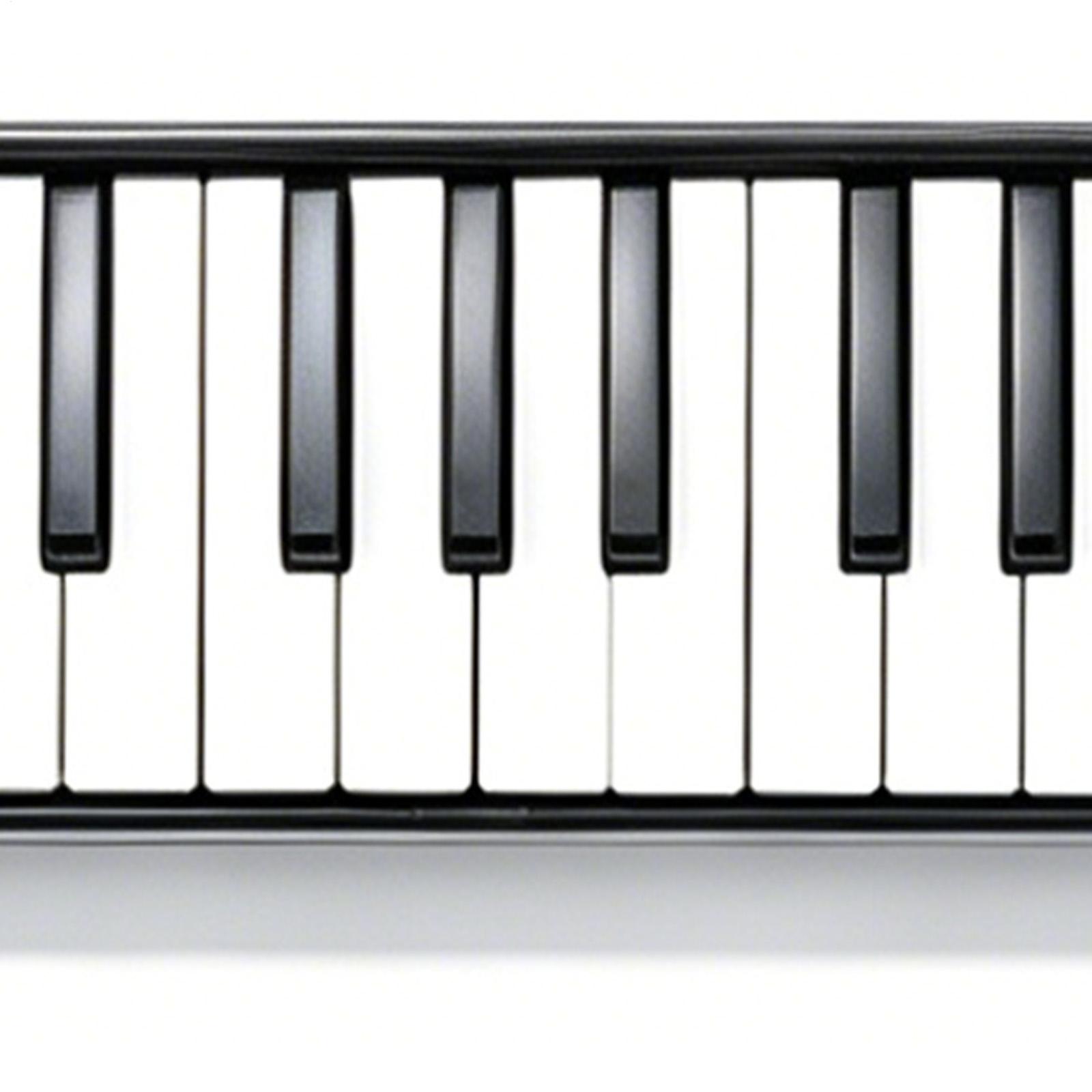 Melodica Instrument 32-Key Por - Musical Instrument Melodica recensione e prezzo