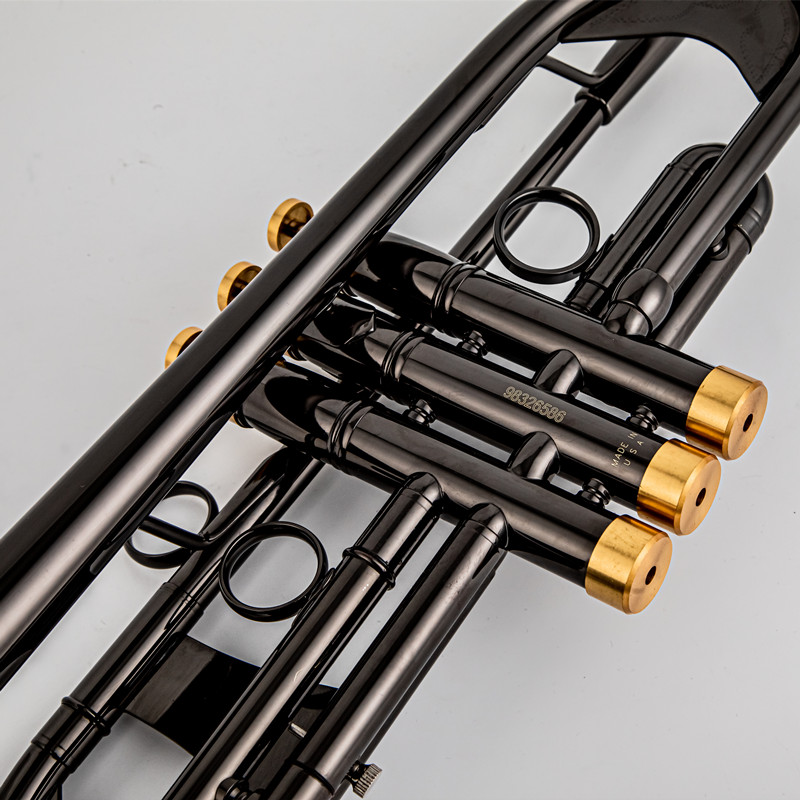 Vincent BACH TR 750 Bb Profess - Musical Instrument Fagot recensione e prezzo