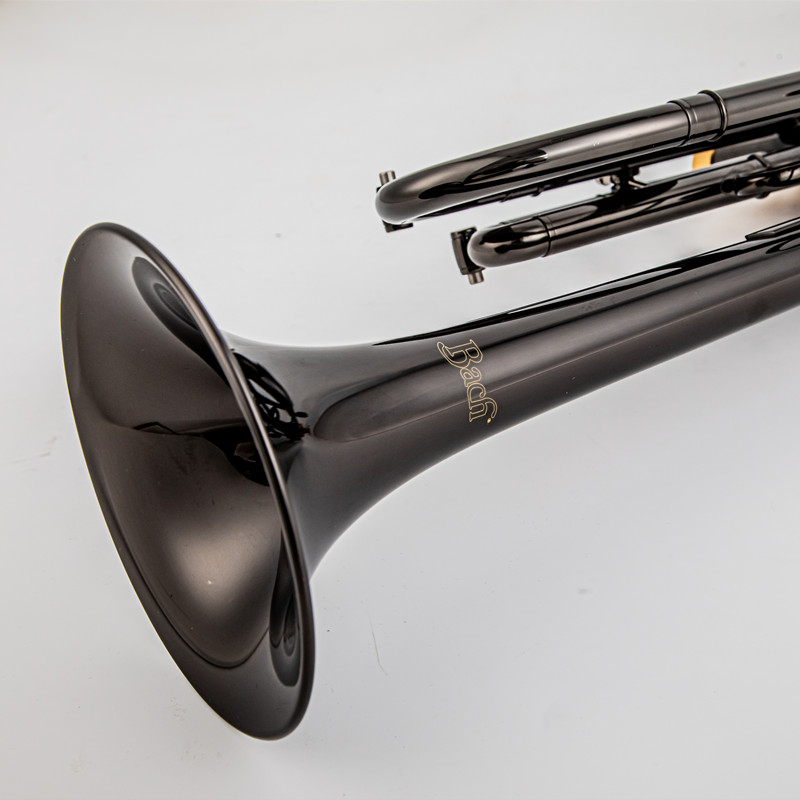 Vincent BACH TR 750 Bb Profess - Musical Instrument Fagot recensione e prezzo