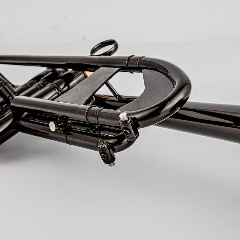 Vincent BACH TR 750 Bb Profess - Musical Instrument Fagot recensione e prezzo