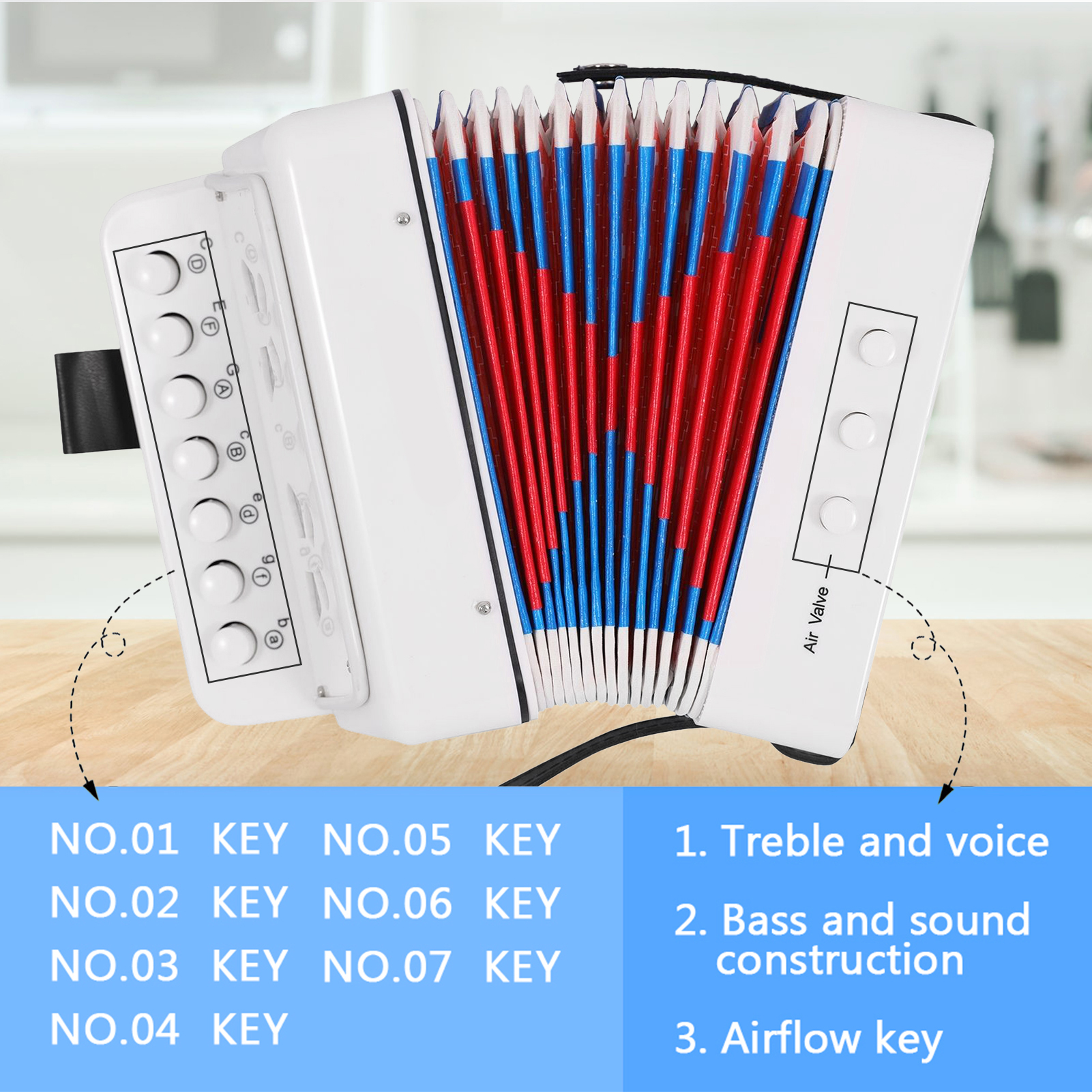 Mini 10 Keys Accordion Toy for - Musical Instrument Project recensione e prezzo