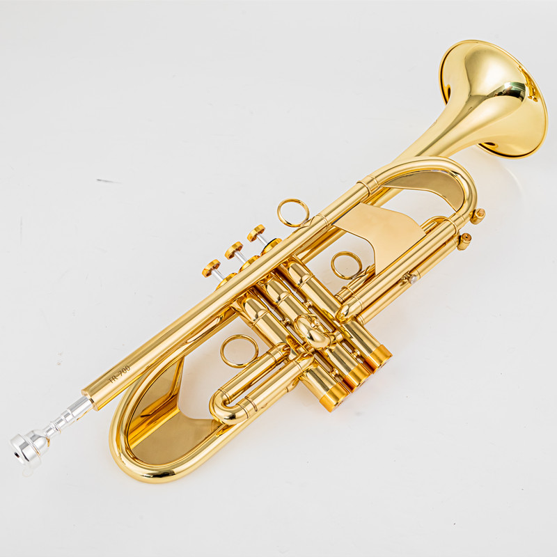 Vincent BACH 700 Bb Trumpet B  - Musical Instrument Fagot recensione e prezzo