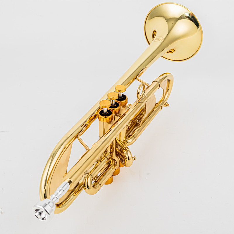 Vincent BACH 700 Bb Trumpet B  - Musical Instrument Fagot recensione e prezzo