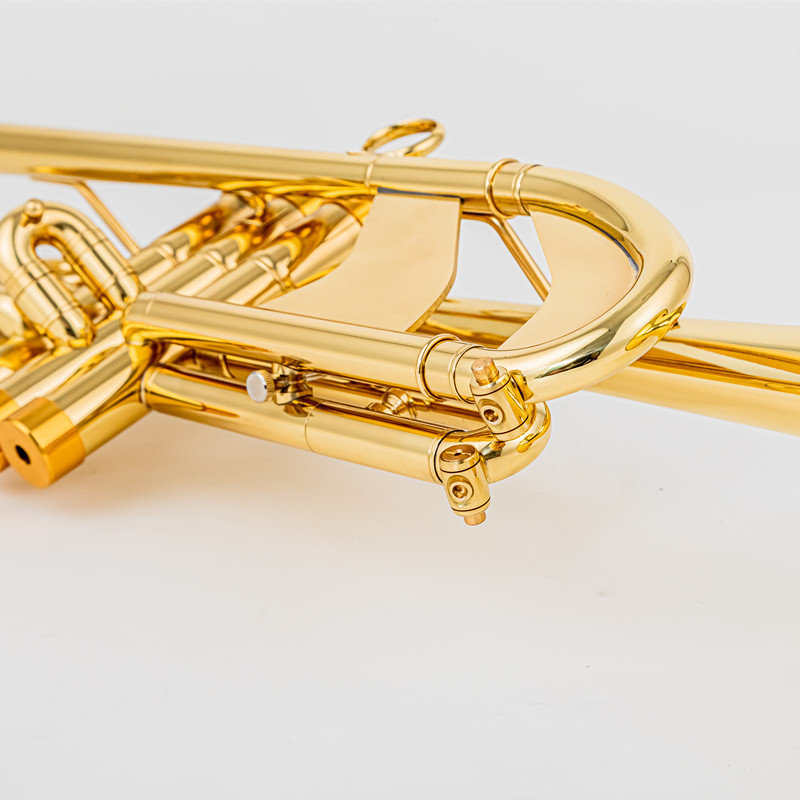 Vincent BACH 700 Bb Trumpet B  - Musical Instrument Fagot recensione e prezzo