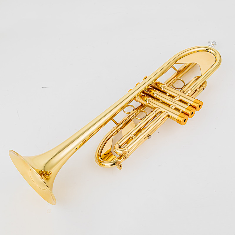 Vincent BACH 700 Bb Trumpet B  - Musical Instrument Fagot recensione e prezzo