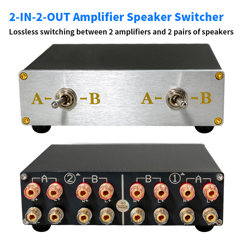 Speaker Switch Selector, 2 Amp - Musical Instrument Vector recensione e prezzo