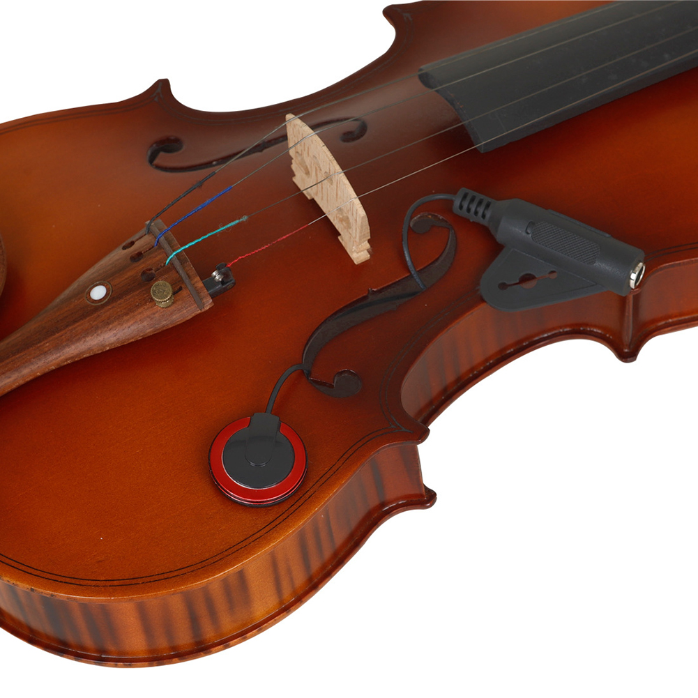 For Musical Instruments Instru - Musical Instrument Name recensione e prezzo