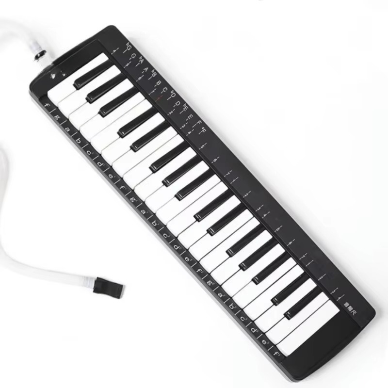 37 Key Professional Melodica S - Musical Instrument Melodica recensione e prezzo