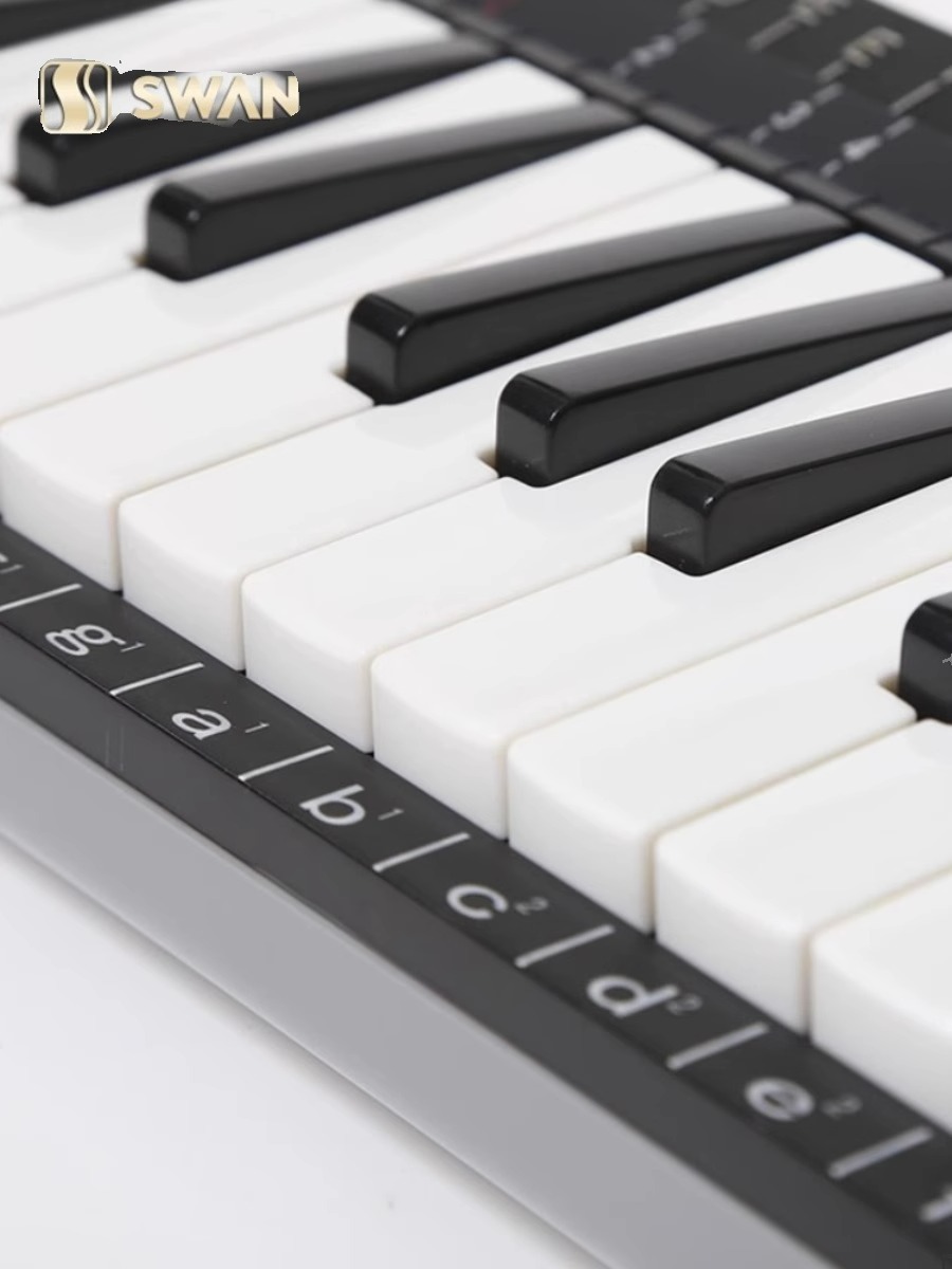 37 Key Professional Melodica S - Musical Instrument Melodica recensione e prezzo