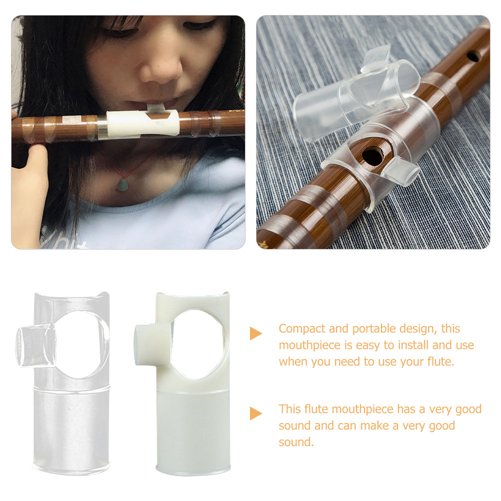 2Pcs Flute Blow Aid Mouthpiece - Musical Instrument You Blow Into recensione e prezzo